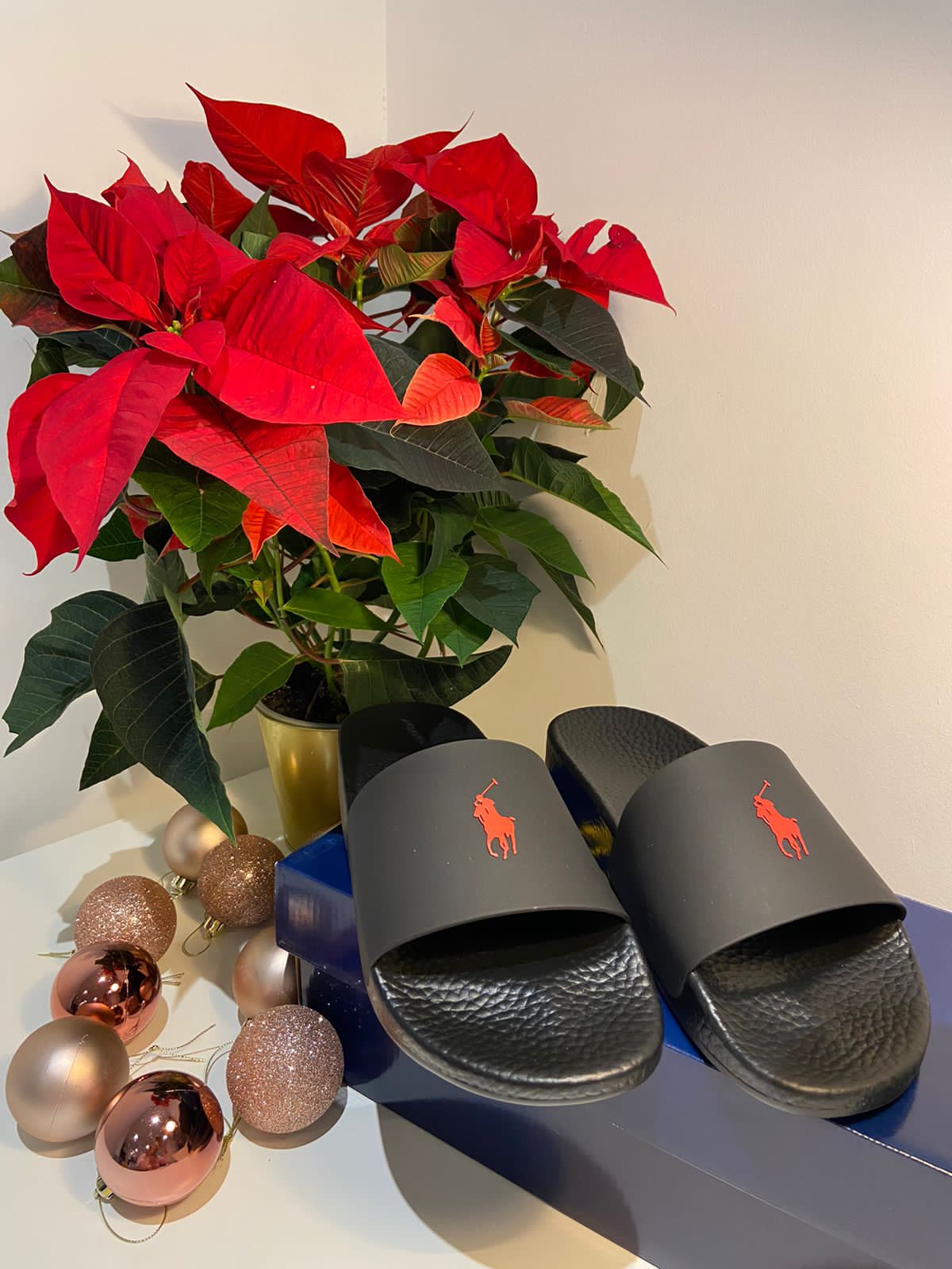 Polo Ralph Lauren Pony Logo - Black/Red