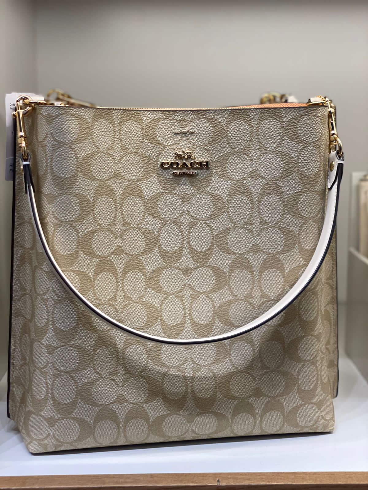 COACH Mollie Bucket Bag