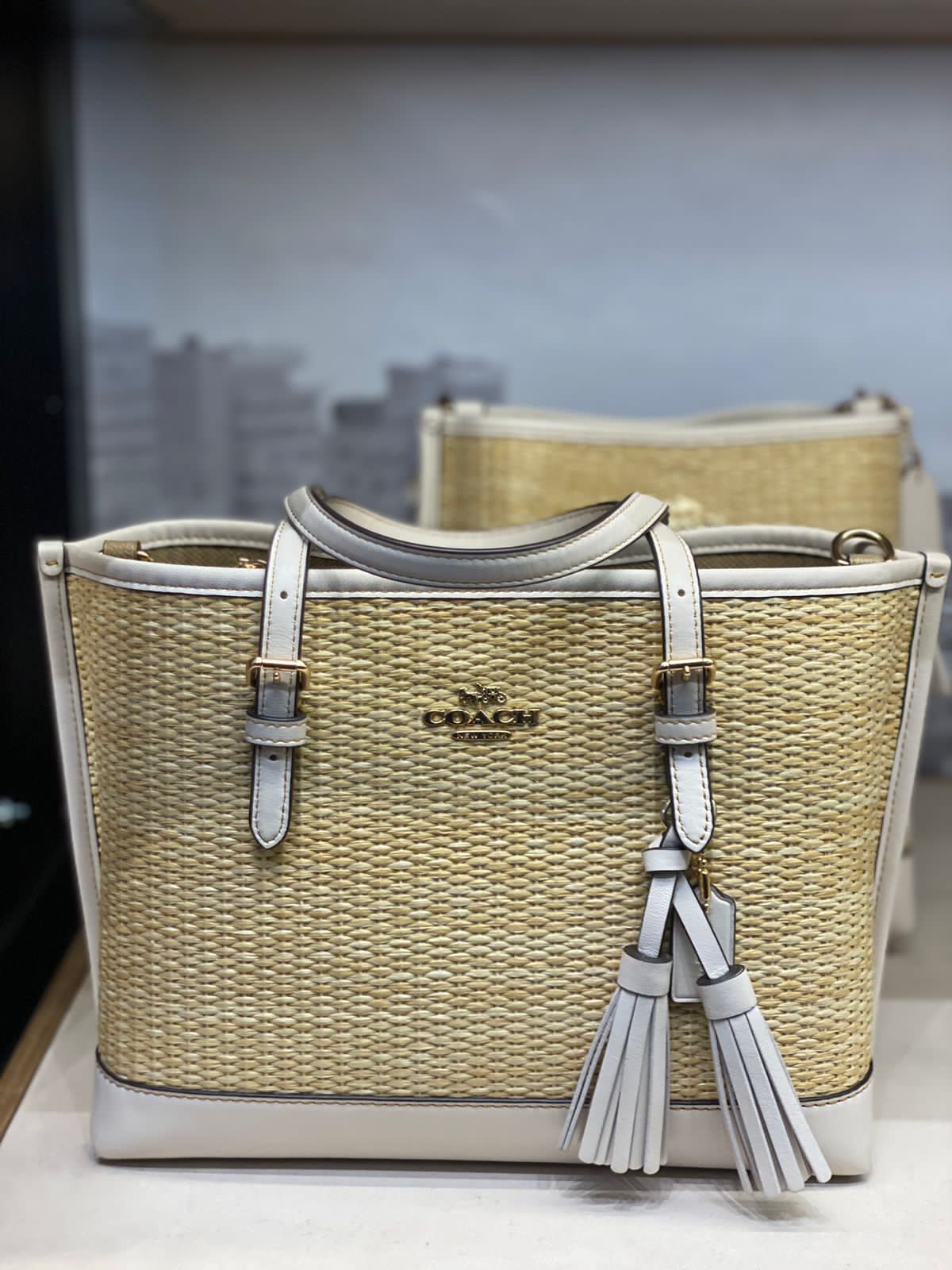 COACH Mollie Tote Bag 25 In Straw