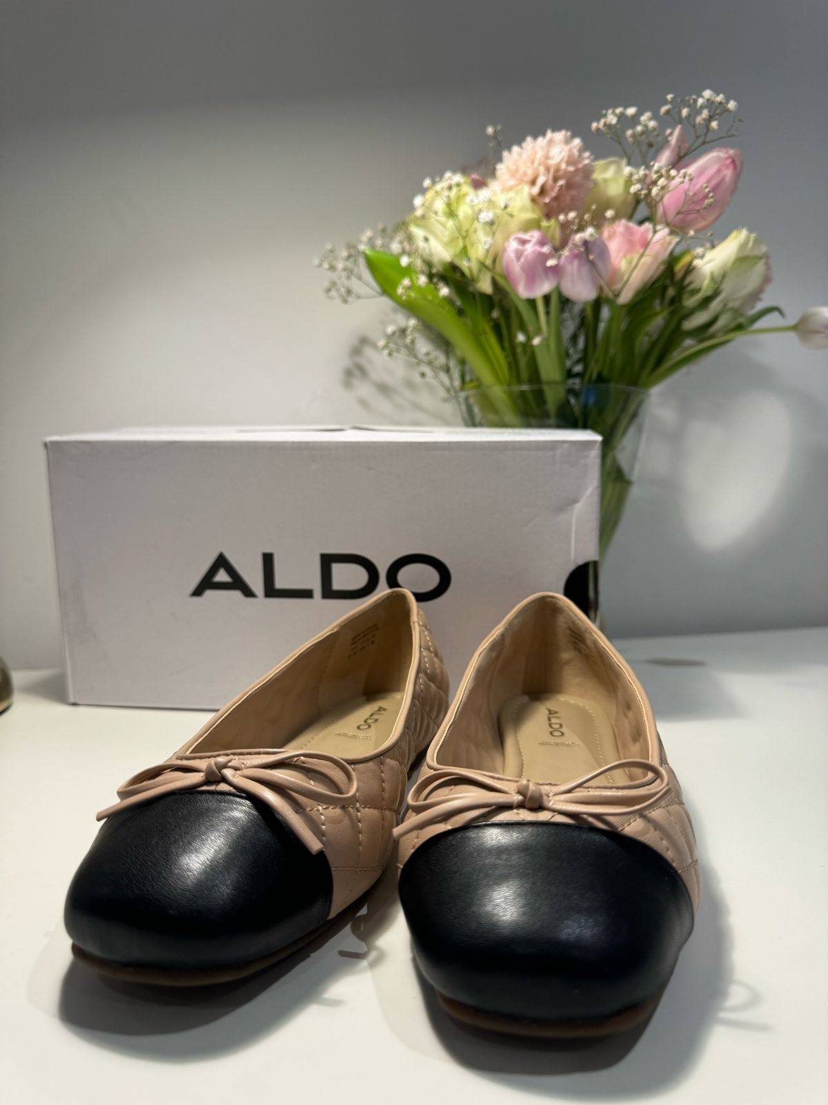 ALDO Braylynn Ballerina Shoes Beige