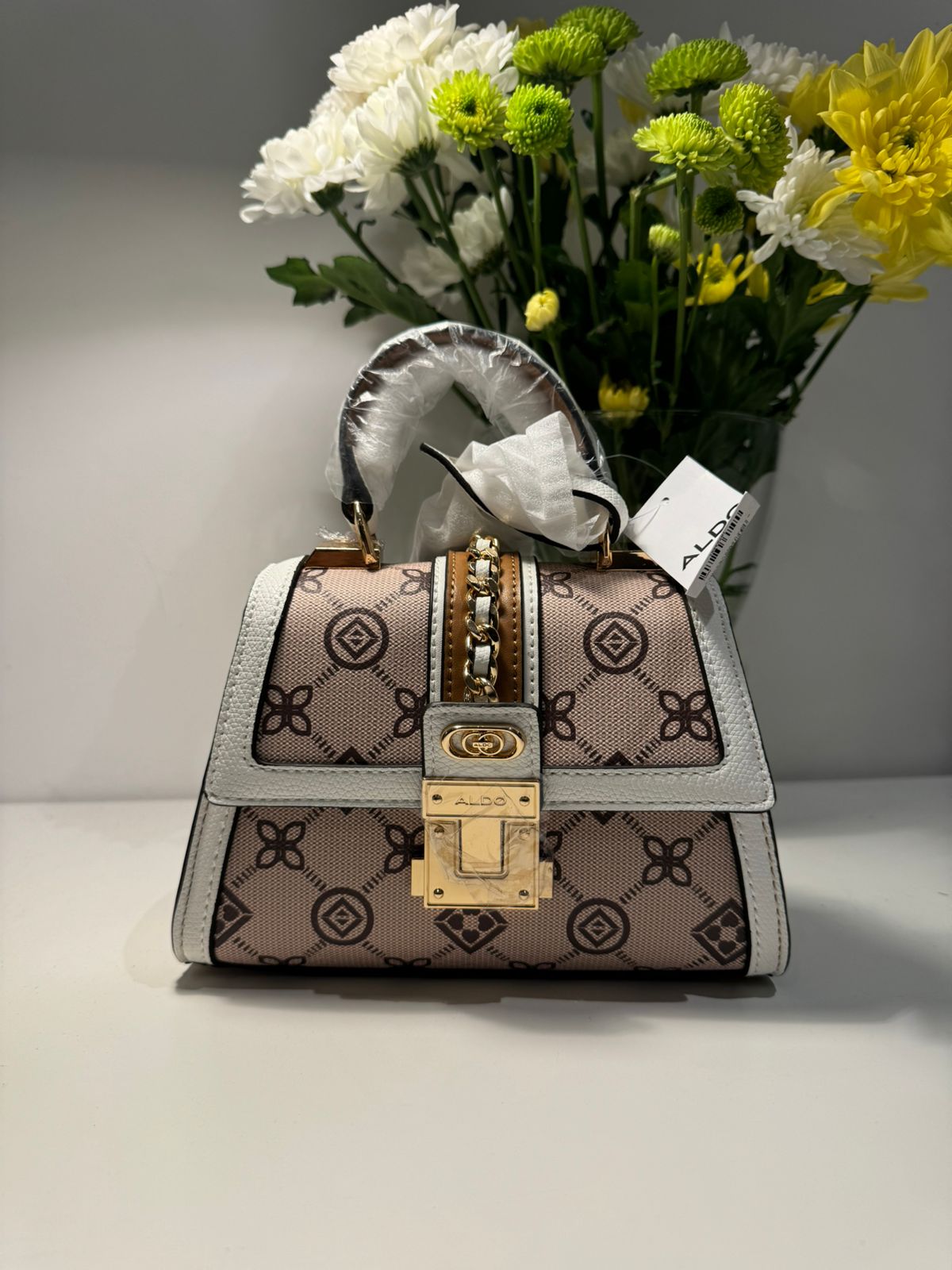 ALDO BANAGYN - Handbag