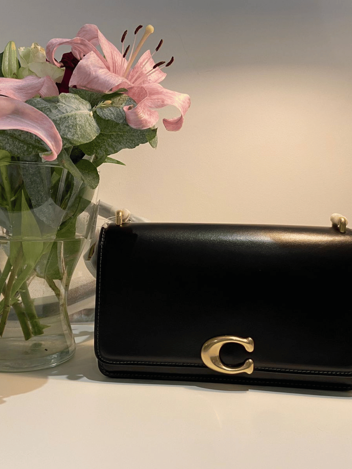 Coach Bandit CD709