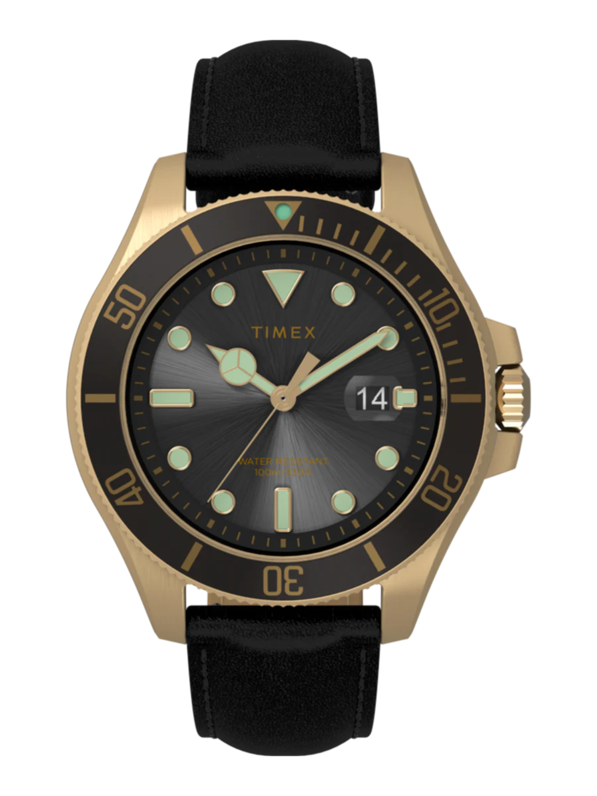 Timex Harborside Coast 43mm Leather Strap Watch